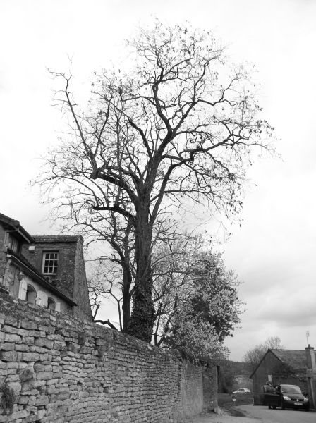 Mercurey (Saone et Loire)  